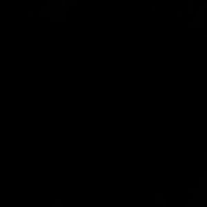 Meet your Posher, Sanchez